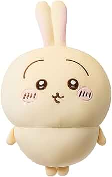 51ovih-NzSL._AC_UF350,