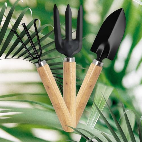 Image of GLUN Gardening Hand Tools, Wooden Handle with 3 Different Tools Metal Hand Cultivator, Transplanter and Hand Fork for Home Gardening