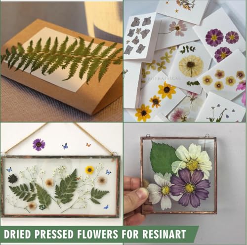 Image of 204 Pcs Dried Pressed Flowers for Resin Crafts, Real Natural Pressed Flowers and Leaves Kit Butterfly Stickers Vacuum Sealed Dry Flowers for DIY Epoxy Resin Jewelry Molds, Candle Soap Making, Nail Art