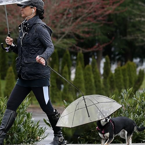Paraguas con correa para perro a prueba de nieve con mango en C para pasear en invierno 2