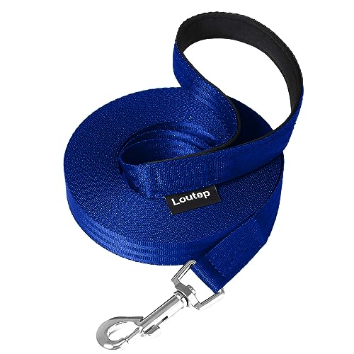 Loutep Schleppleine Für Hunde Lange Leine 3m 5m Schleppleine 10m Für Hunde 15m 20m 25m 30m Hundeleine Für Kleine Mittel Große Hund Langlaufleine Wasserfest Leicht Laufleine