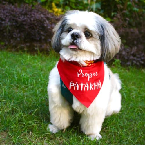 Image of Quirky Dog Bandana: Proper Patakha Bandana for Pets | Easy to Wear Slip On Dog Bandana