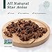 Soeos Star Anise, Star Anise Whole, Ainsie Seeds for bakeing and tea 6oz (170g)