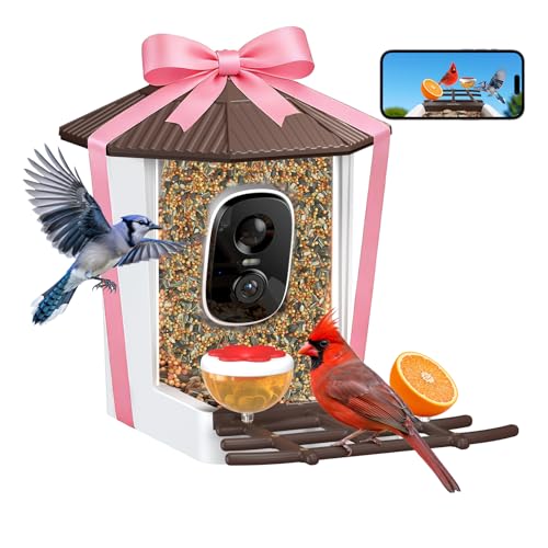 wansview Bird Feeder with Camera-Smart Bird Feeders for Outdoors Solar Powered, Birdhouse with Cam & Instant Alert, 2K Live Video, AI Identify Species, Ideal Gift for Tech Lovers, F1, Brown, 2.4G WiFi