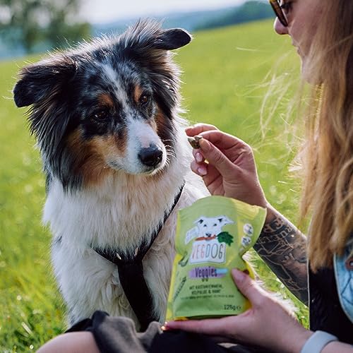 VEGDOG Veggies Skincare hypoallergener Hundesnack (10 x 125 g) | Trainingssnack für Fell und Haut | Proteinsnack für Allergiker mit Kastanie und Hanf