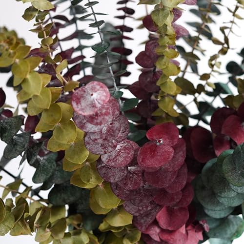 10 unidades Hojas de Eucalipto Seco Decorativo Natural miniatura 6