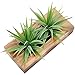 MyGift 10 Inch Artificial Green Grass Plants in Deluxe Acacia Solid Wood Decorative Planter Pot, Faux Greenery in Rectangular Wooden Container
