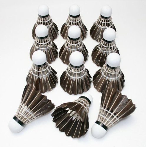 ̎ Abv II Kp oh~g Vg FH 12Zbg(1 _[X) ubN tFU[