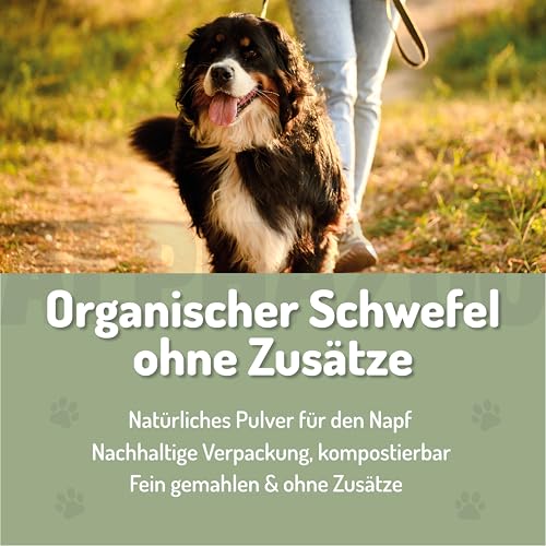 alphazoo MSM Pulver 250g für Hunde – organischer Schwefel 99,9% rein – Ergänzungsfuttermittel für...