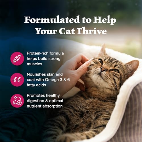 Blue Buffalo Wilderness Natural Adult Dry Cat Food, High-Protein and Grain-Free Diet, Supports Healthy Muscle Development and a Healthy Immune System, Salmon, 5-lb Bag - Image 6