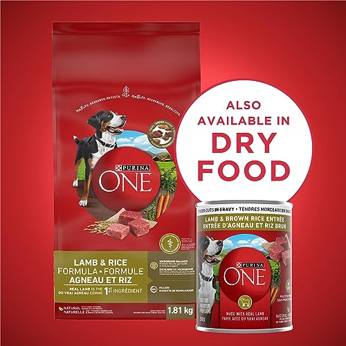 Purina ONE Tender Cuts Wet Dog Food, in Gravy Lamb & Brown Rice Entree - 368 g Can (12 Pack) image 2