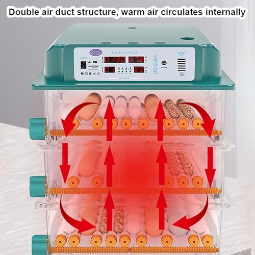 Incubadora totalmente automática de 80 W, temperatura de 10 a 35 °C, giro automático de ovos/adição