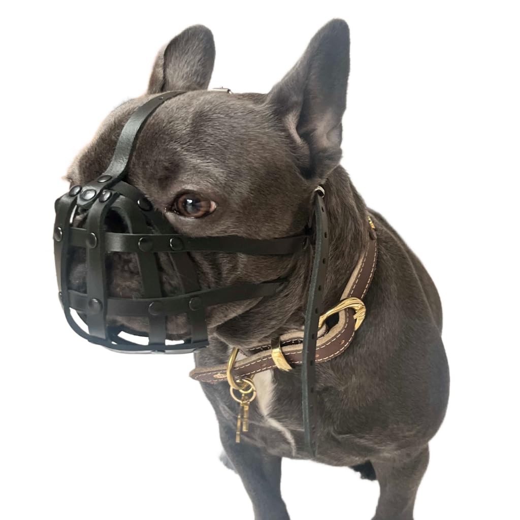 Museruola in pelle leggera, per bulldog francese