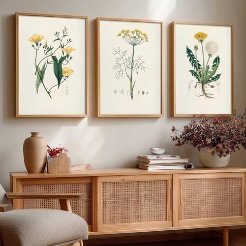 Image of kotart Decorative Aesthetic Botanical Art Home Decoration Painting | Floral Paintings With Frame For Living Room Bed Room Hotel Wall Decor Digital Reprint Set of 3