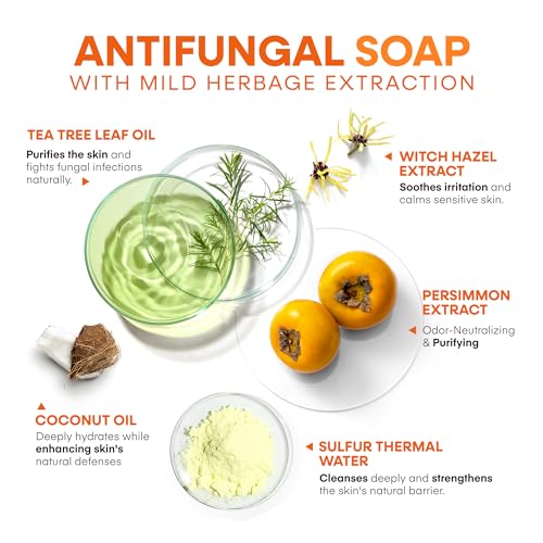 Image of Hermon Antifungal Bar Soap: Antifungal Soap for Ringworm, Jock Itch & Athlete's Foot with Tea Tree Oil - Tolnaftate 1% Medicated Anti Fungal Treatment Bar for Skin Fungus - 6 Bars