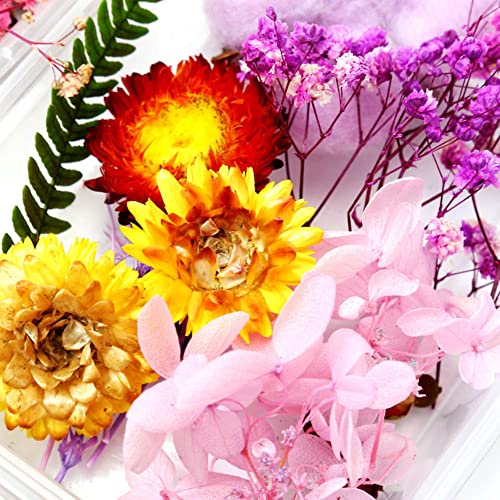 5 Pack Flores Secas Naturales para Manualidades miniatura 4