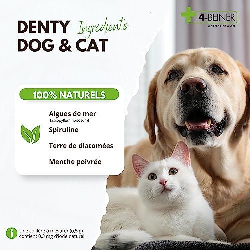 4-BEINER DENTY-Dog & Cat - Poudre de Soin Dentaire pour Chiens et Chats, pour l' hygiène bucco-Dentaire et Contre la Mauvaise haleine, 90 g de Poudre – Image 5