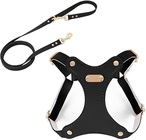 Nozuma pn[lXƃ[h̃Zbg \tgU[ Ȃ݌v ʋCEϋv \ ^E^E^Ή ȒPUg[jOp p֕t (sNCM TCY)