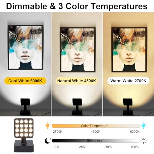 Image of 12V Indoor Plant Spotlight with Remote dimming Function, 12W Spotlight Suitable for Dark Corners, Sofas, Indoor Plants, Walls, Artworks (Black, 1 Pack)