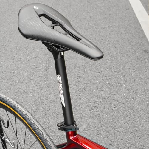 TRIWONDER Fahrrad Sattelstütze 25.4/27.2/28.6/30.4/30.8/31.6mm, Aluminium Sattelstange 350mm Länge für MTB BMX E-Bike Rennrad Trekkingrad (… – Ansicht 7