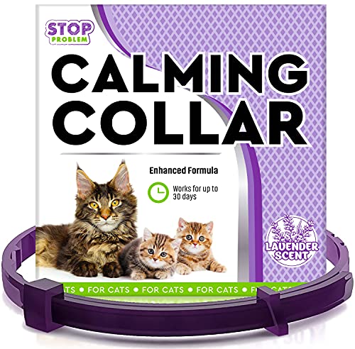 Beloved Pets Pheromone Calming Collar for Small Dogs