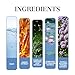 TS TAC-SKY Tea Scented Men's Perfume - Natural & Refreshing Long-Lasting Fragrance For Couples' Dates, Stress Relief & All-Day Freshness(3PCS)