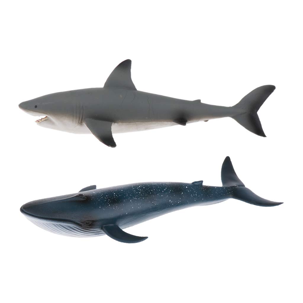T TOOYFUL 2 Pieces Whale & Blue Whale Sea Animal Marine Life Figure Models