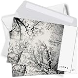 Trauer Danksagungskarten mit Umschlag | Motiv: Kahle Bäume, 15 Stück | Dankeskarten DIN A6 Set | Trauerkarten Danksagung Danke sagen