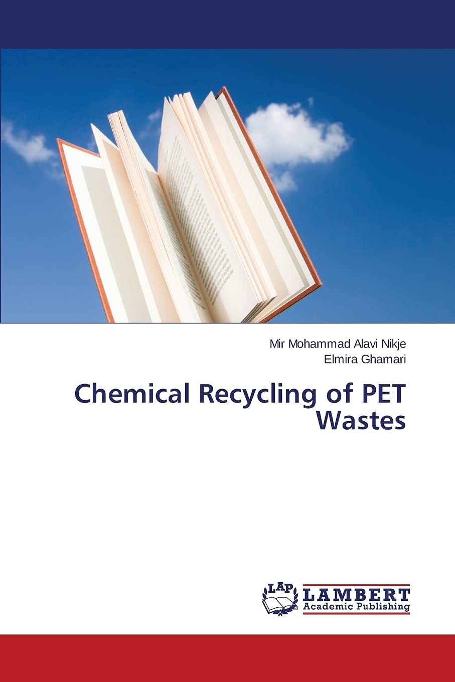 Chemical Recycling of PET Wastes