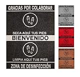 LUA VIKA Felpudo desinfectante Calzado - Alfombra Limpia Zapatos para la Entrada, moqueta higienizante (Negro, 58_x_75_cm)