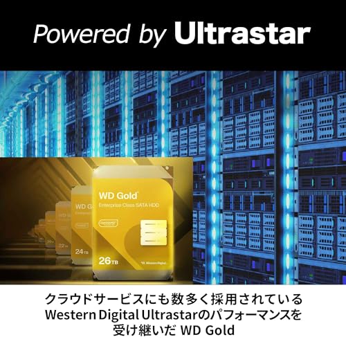 ウエスタンデジタル(Western Digital) WD Gold WD1005FBYZ-AJP の商品画像 3