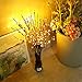 DK177 2 Pack Led Branch Light Battery Operated Lighted Branch Vase Filler Willow Tree Artificial Little Twig Power Brown 30 Inch 20 LED for Home Romantic Decoration, Warm White