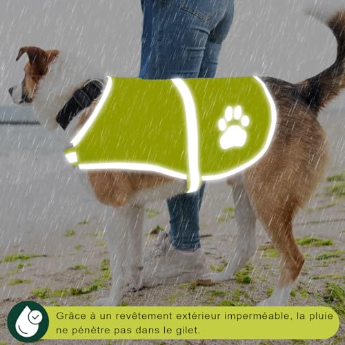 Voarge Reflektierende Sicherheitsweste für Hunde, Hohe Sichtbarkeit, Reflektierende Sicherheitsweste Haustierweste für Nachts im Freien (Gelb, L)