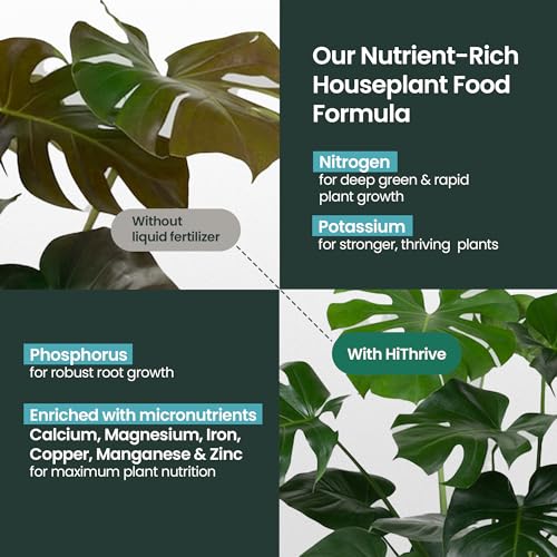 Fertilizante líquido para plantas de interior 32 oz miniatura 3