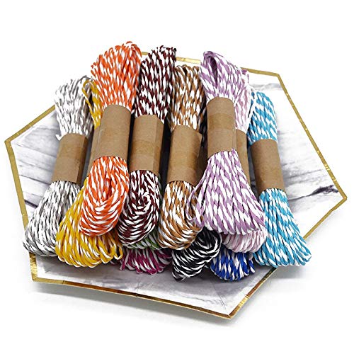 Powered by z-Plus® Pack of 10 (100 mtrs) Multi-Coloured Twisted Paper Rope Threads (Raffia Rope) for DIY Art and Craft Projects and Decoration