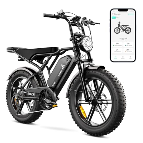 TST E Bikes Mountainbike Fatbike 20 Zoll Elektrofahrrad Herren Damen Elektro Fahrrad mit APP-Steuerung und Federung, E Fatbike 48V 25Ah Batterie 250W Motor 25km/h E Fahrrad