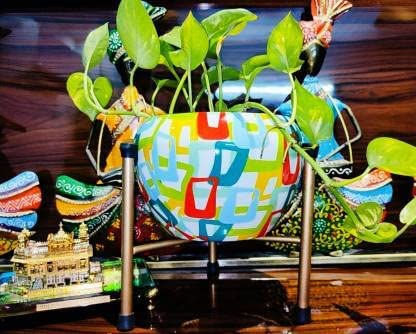 Niyara Designer Colorful Metal Tabletop Planters Pot for Indoor Plants with Stand Plant Containers Balcony Decoration Size :Medium (14cmX14 cm) (Rectangle) (B09RDVRPZY) Amazon Price History, Amazon Price Tracker