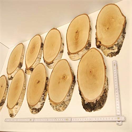 GTK - Geweihe & Trophäen KRUMHOLZ 10 Unidades de Abedul Carteles trofeos REH Grande Cervatillo cornamental Disco de árbol Madera Natural Moderno
