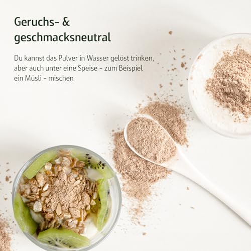 Akazienfaser Pulver Bio - 500 g - 80% Ballaststoffanteil - 50 Tage Vorrat - Bio-zertifiziert & Natürlich rein - Ohne Zusätze
