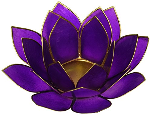 Portacandela Loto 7� Chakra Capiz viola - oro