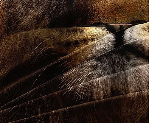 Holiyjog Lion Duvet Cover Set For Kids Animal Quilt Cover Set With 2 Pillowcases Twin Size Wildlife Bedding Sets For Boys Lions Bedroom Decor #TOP5