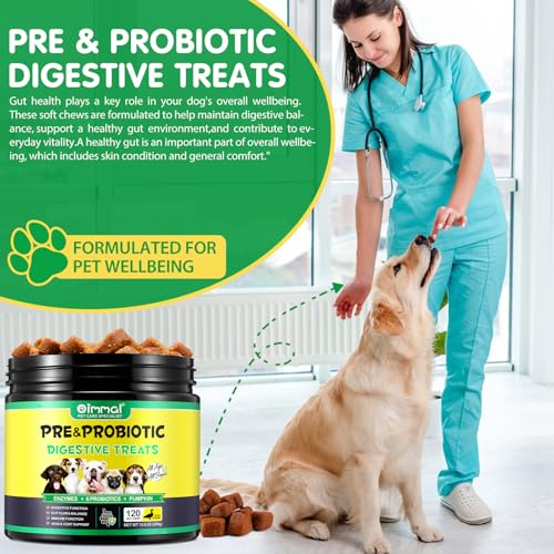 HRAMEX Hunde Probiotika als Leckerli(Entenaroma 120PCS),Hund Darmflora aufbauen,saisonale Allergien,aufgeregter Magen Linderung verbessern die Verdauung,leckere Snacks(300g)