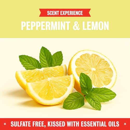 Image of Rebel Green Super Deluxe Dish Soap - Natural Kitchen Dish Detergent - Gentle Dish Liquid Scented with Peppermint & Lemon - (1 Gallon Refill Bottle)