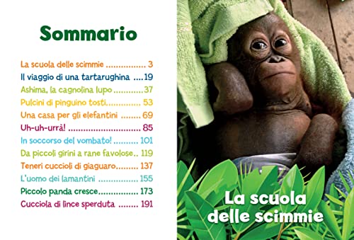 Storie Di Cuccioli In 5 Minuti. Ediz. A Colori - 3