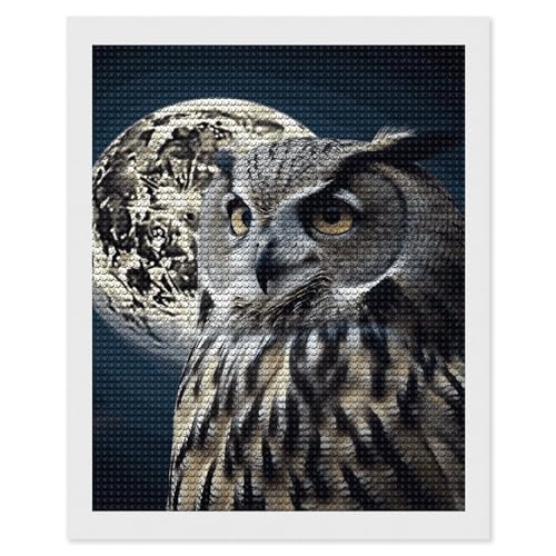 Kit peinture diamant hibou nocturne pour relaxer votre esprit le soir avec l'art créatif 5D