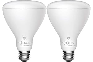 GE Cync Outdoor Tunable White Smart Flood Light Bulbs (2-pack)