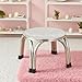 Ioensy Stacking Stool Round Stool Stainless Steel Metal Commercial Nonslip Classroom Stools Multipurpose Stools Chairs for Garden, 22cm
