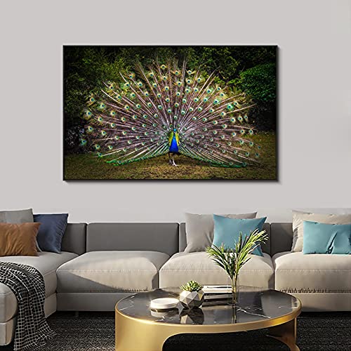 Art mural photo affiche paon déco murale salon moderne toile 35x50 - 3
