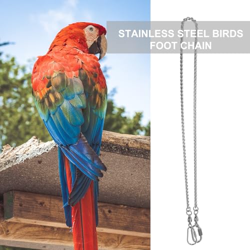 Tobillera de pájaros en acero inoxidable resistente tamaño 4 4