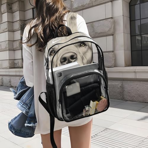 Golden Retriever Floral Cute Clear Backpack, PVC Transparent Bag with Large Capacity for Boys, Girls, Men, Women, See Through Bookbag for School Work College Travel4